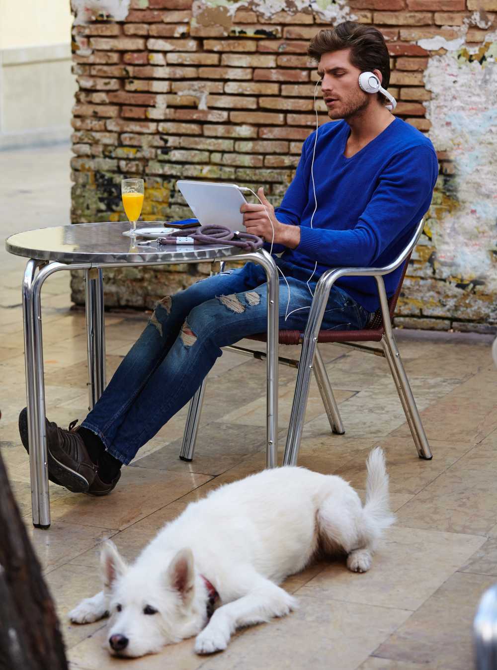Dog relaxing with owner at a cafe