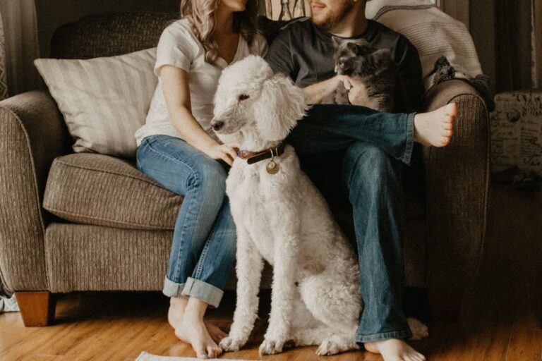 Poodle sitting in front of the sofa with two people sitting on sofa with cat