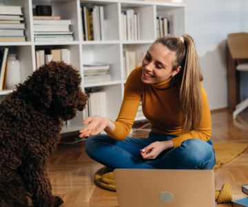 Cockapoo puppy training with female owner indoors